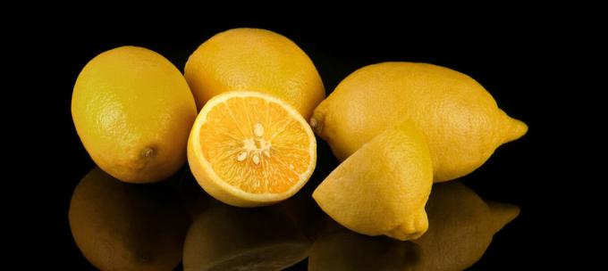 Lemon - citron