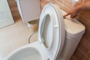 Varför pour diskmedel i toaletten?