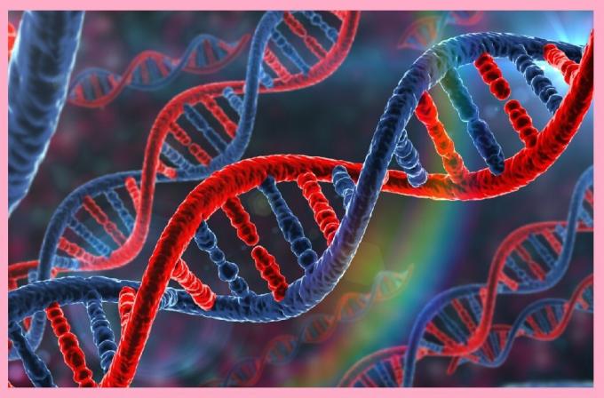 DNA-segment (gener) ärvs, och innehåller information som är ansvarig för hälsa och anlag för sjukdomen.