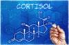 Hela sanningen om kortisol: hur man kan stödja huvud hormon i kroppen