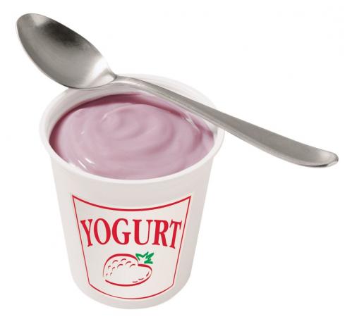 yoghurt