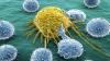 Hur naturen hjälper till att bekämpa cancer