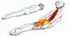 8 övningar för att räta din hållning och lindra ryggont