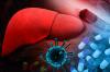 Ny terapeutisk kombination har lett till ett genombrott i behandlingen av hepatit C