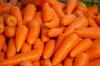 Barns kompletterande livsmedel: hur man introducerar morötter i barnmat