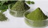 Moringa - en växt som problem förhindrar hälsa!