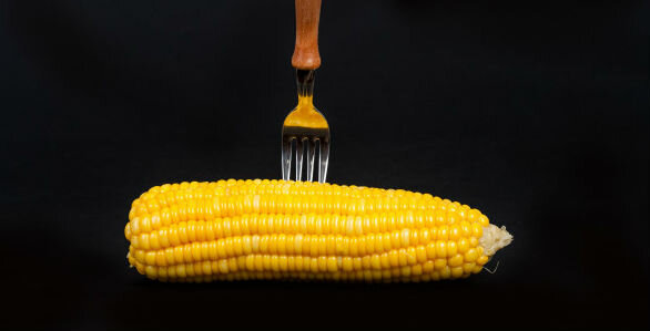 Corn - majs