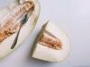 Frodig melon charlotte: recept steg för steg