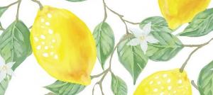 Lemon - fortfarande sura eller alkaliska livsmedel?
