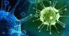 Virus: hur vår kropp kämpar mot dem?