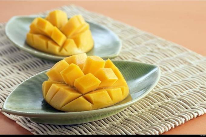 Hur man odlar en mango hemma: steg för steg instruktioner