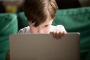 Fällor i nätet: TOP-10 regler för säkert onlinebeteende för barn