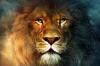 12 egenskaper hos Lions, som du kommer att älska dem