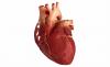 Symtom och första hjälpen för akut hjärtinfarkt