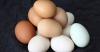 Skingrat myten om den kontroversiella skada ägg