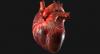 10 produkter som har en positiv effekt på hjärtat