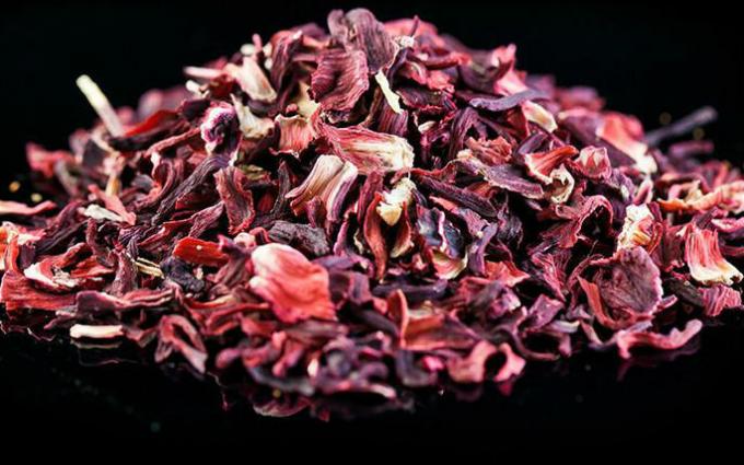 Tea hibiskus - Hibiscus te